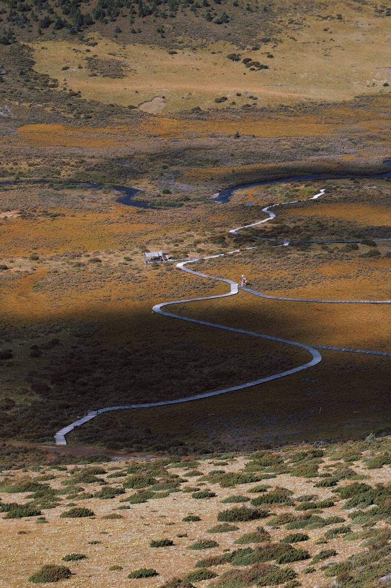 Trailess expanse
